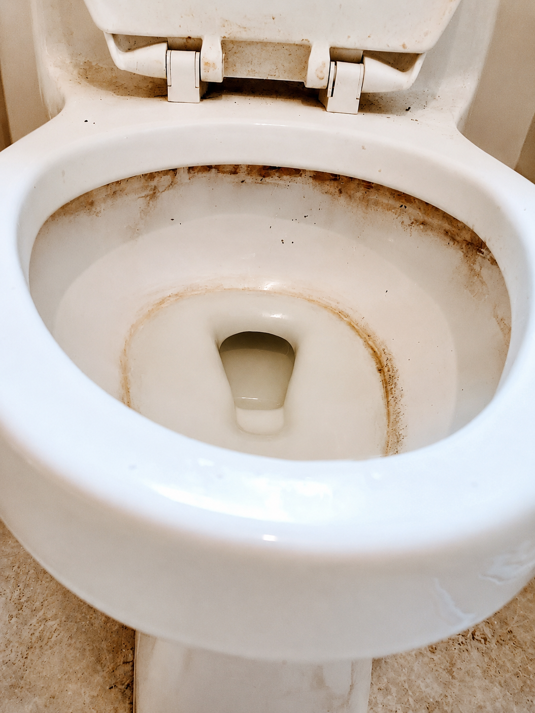 Dirty toilet before cleaning